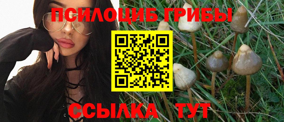 Галлюциногенные грибы мицелий  Галлюциногенные грибы Psilocybine cubensis  Хасавюрт  Вход с VPN 