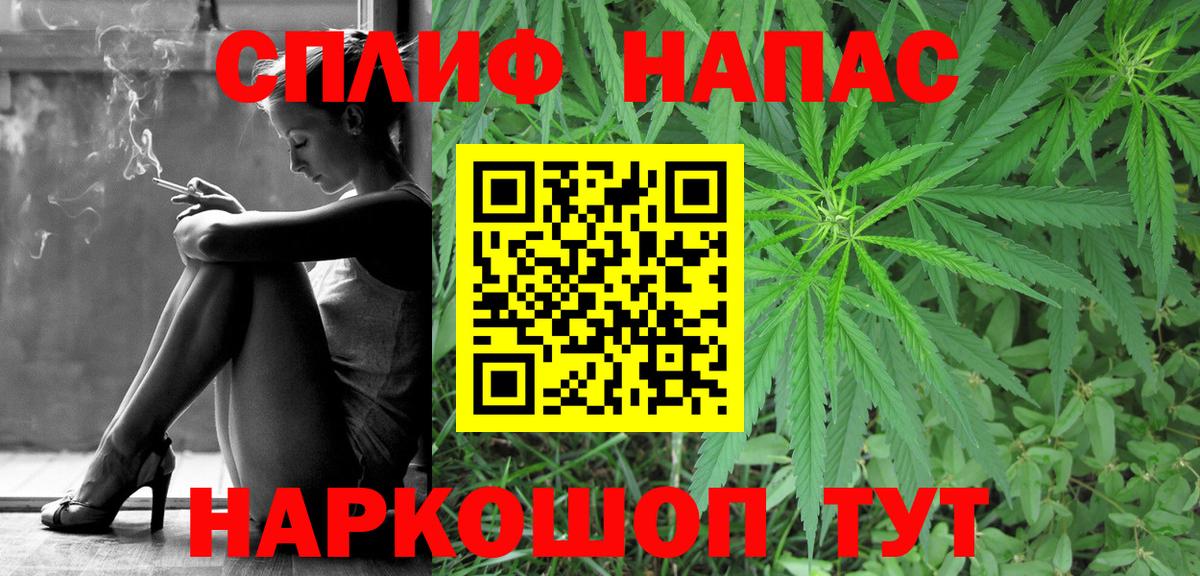 Канабис семена Хасавюрт